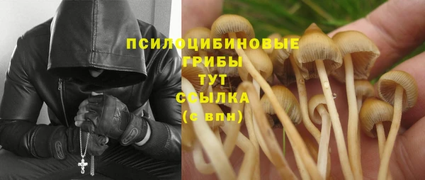 кокаин премиум Бородино