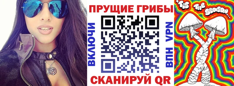 Купить  Краснообск  Галлюциногенные грибы MAGIC MUSHROOMS 